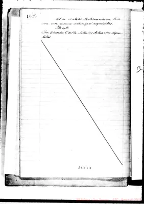 Fotogramma C 3