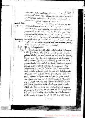 Fotogramma E 8