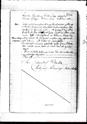 Fotogramma C 11
