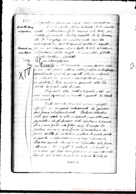 Fotogramma C 3