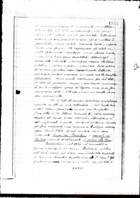 Fotogramma C 8