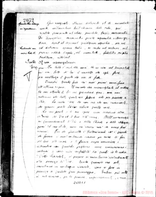 Fotogramma C 1