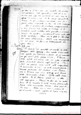 Fotogramma D 7
