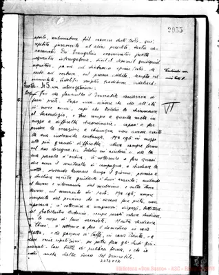 Fotogramma D 12