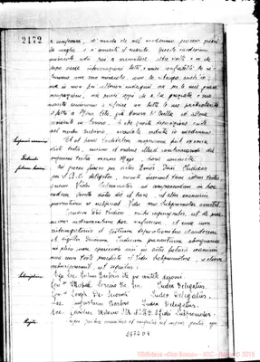 Fotogramma D 9