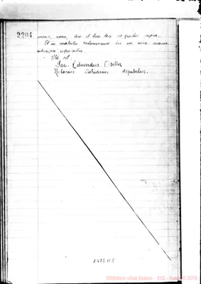 Fotogramma B 5