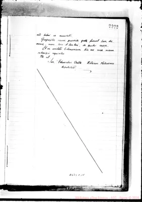 Fotogramma C 11