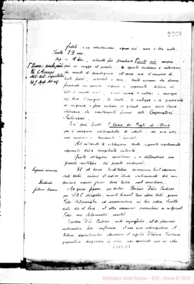 Fotogramma D 7