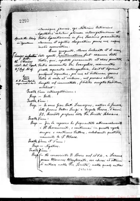Fotogramma D 11