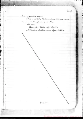 Fotogramma B 2