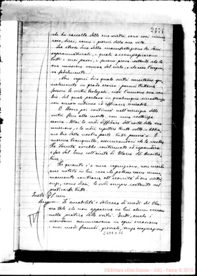 Fotogramma D 12