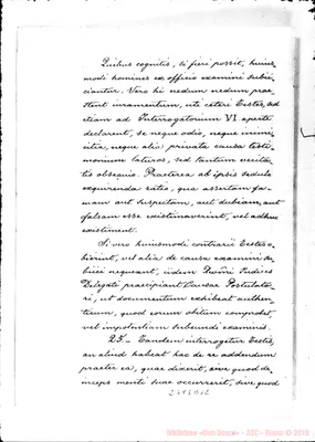 Fotogramma D 12