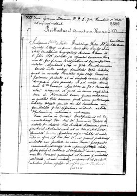 Fotogramma D 11