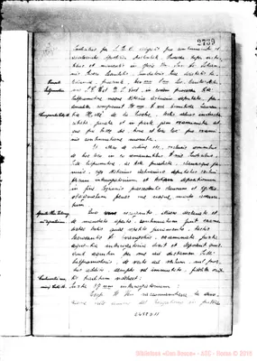 Fotogramma D 11