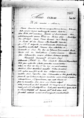 Fotogramma B 3