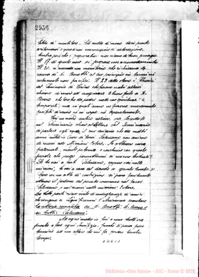 Fotogramma C 1