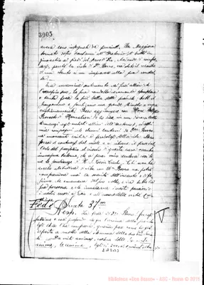 Fotogramma B 3