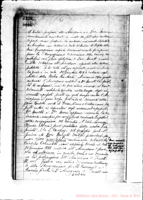 Fotogramma A 11