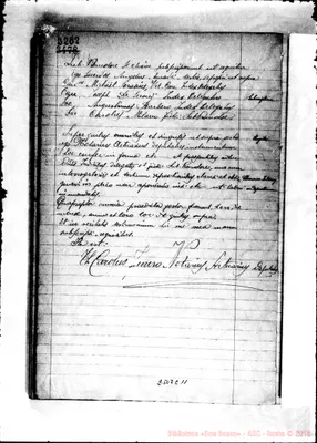 Fotogramma C 11