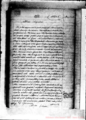 Fotogramma C 12