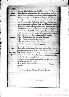 Fotogramma C 11
