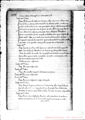 Fotogramma D 11