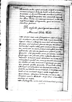 Fotogramma C 2