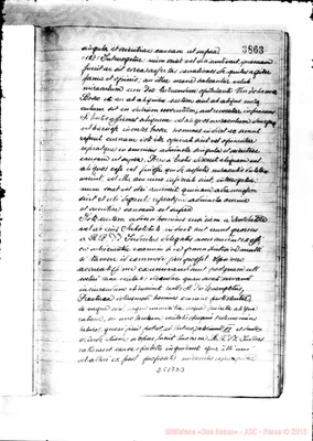 Fotogramma D 3