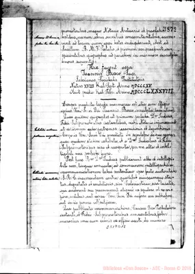 Fotogramma D 12
