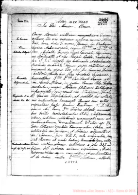 Fotogramma D 3
