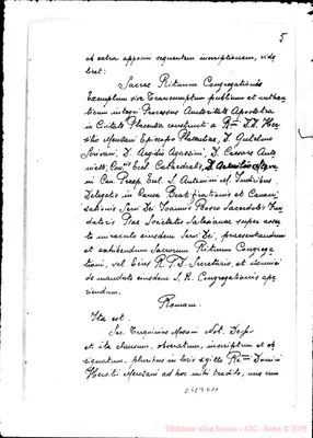 Fotogramma D 11