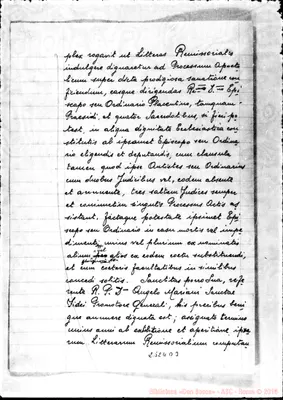 Fotogramma D 3