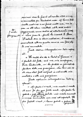 Fotogramma D 3