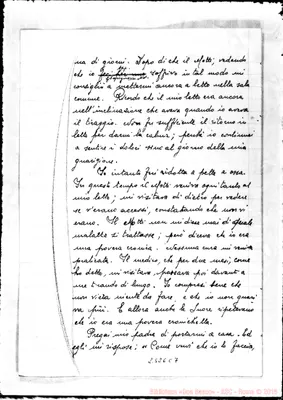 Fotogramma C 7