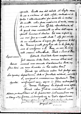 Fotogramma C 11