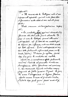 Fotogramma D 11