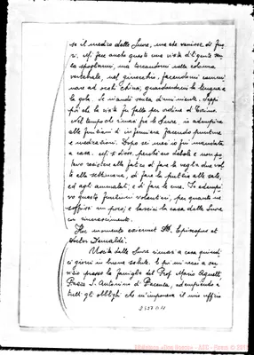 Fotogramma D 11