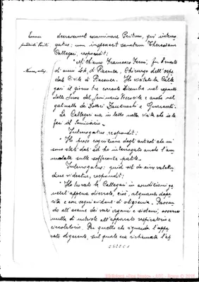Fotogramma C 1