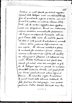 Fotogramma C 2
