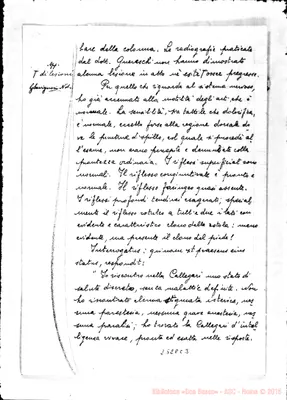 Fotogramma C 3