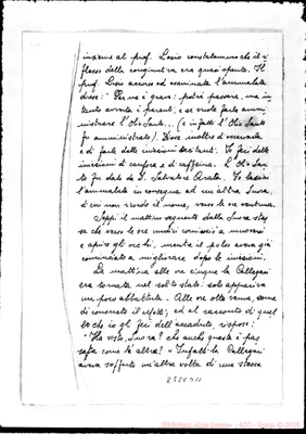 Fotogramma D 11