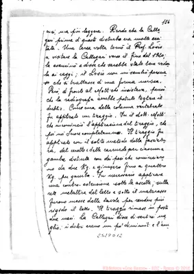 Fotogramma D 12