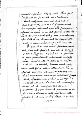 Fotogramma D 11