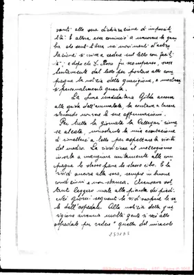 Fotogramma D 5
