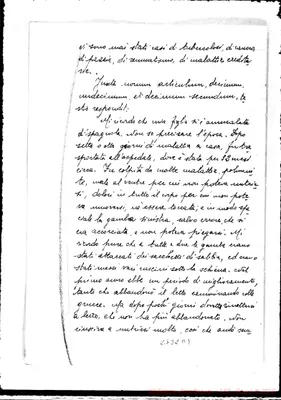 Fotogramma D 9