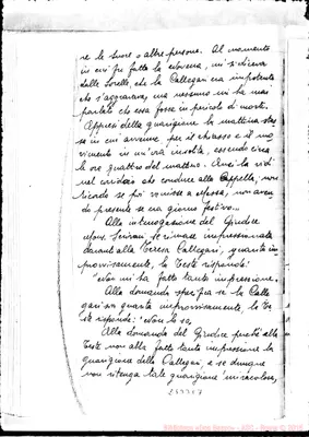 Fotogramma E 7