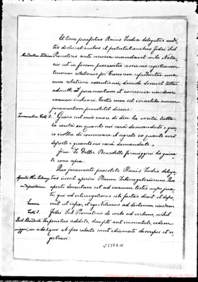 Fotogramma D 11