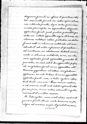 Fotogramma E 11