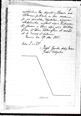 Fotogramma E 8