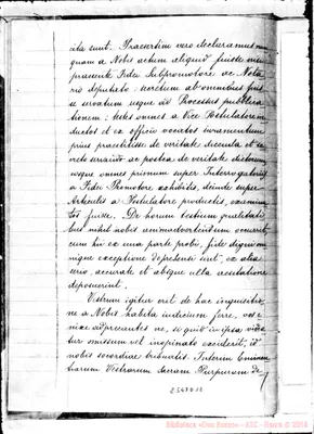 Fotogramma D 12